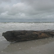 Picture 076